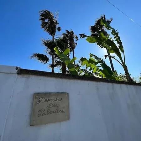 Casa vacanze Domaine Des Palmiers Torre Chianca